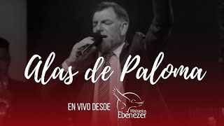 Video thumbnail of "Billy Bunster en Ministerios Ebenezer Guatemala // Sobre Alas de Paloma"