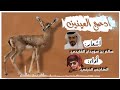 شيلة أدعج العينين 2021