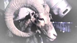 Slipknot   Custer   Live Video.the maggot