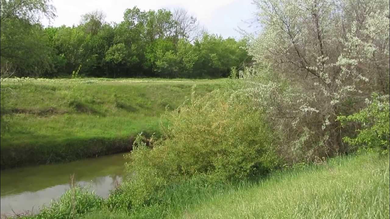 Нижнегорский пшеничное. Село Изобильное Нижнегорский район. Село Зоркино Крым Нижнегорский район. Изобильное Нижнегорский район Крым. Село Изобильное Крым Нижнегорский район.