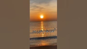 تلاوه رائعه بصوت القارئ الشيخ علي جابر _ حالات واتس اب قرآن