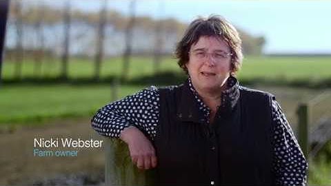 Webster Farm Controlling Body Condition Scores of the Herd with DeLaval BCS-Camera | DeLaval