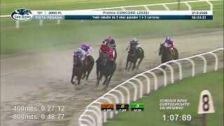 Vidéo de la course PMU PREMIO CONCORD 2025