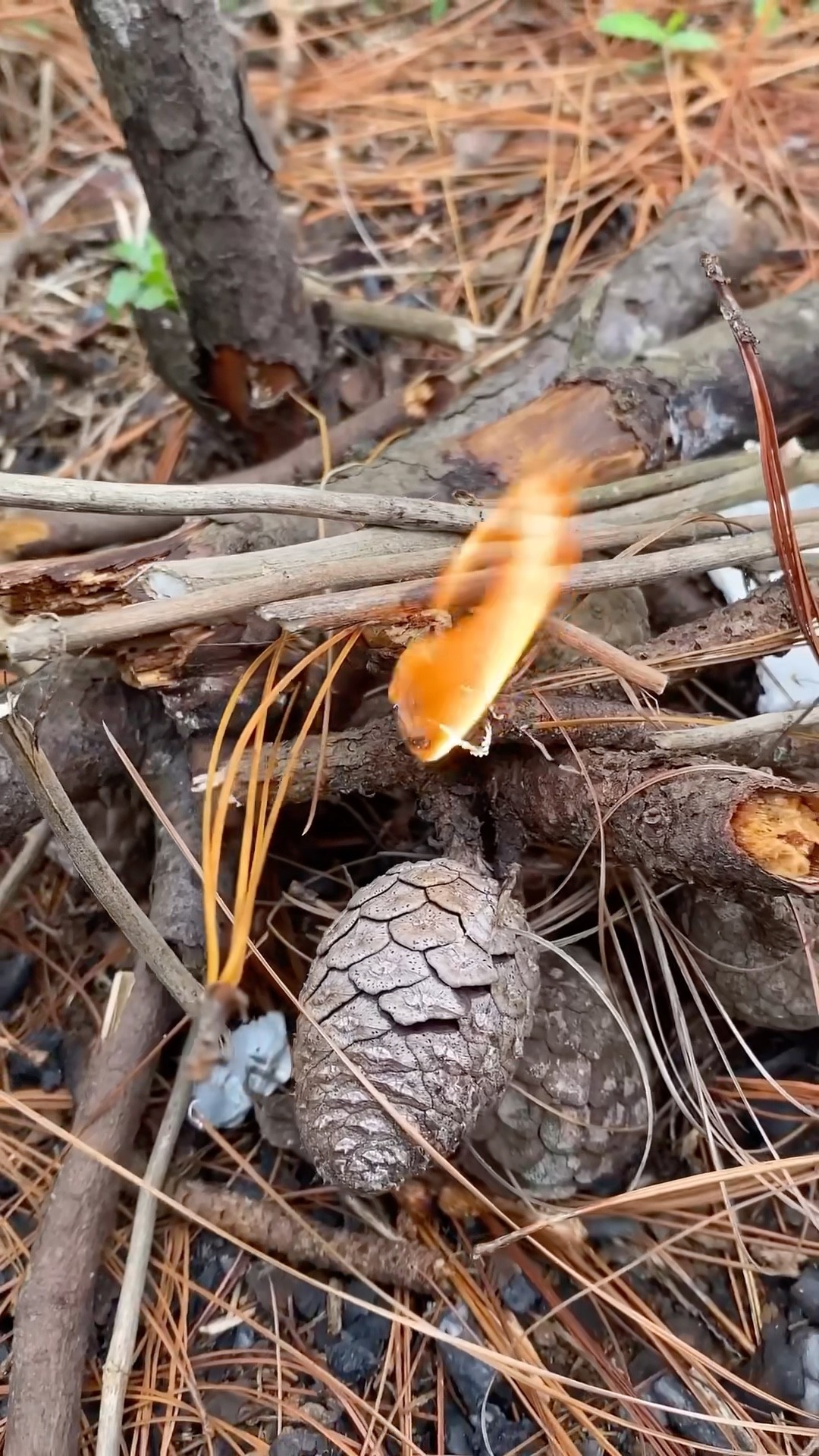 #JasonDeruloTV // Survival Hack #GotPermissionToPost From @Mayco_survival #YouCanDoAnything