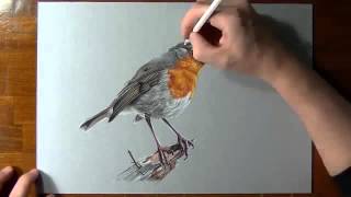 How to drawing bird 3D screenshot 1