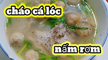 cách nấu cháo cá lóc đồng với nấm 🍄 rơm, thơm ngon và bổ dưỡng / cháo cá miền tây