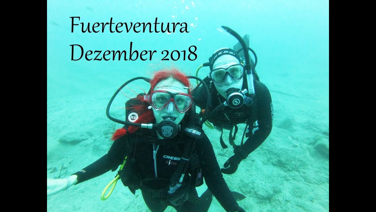 Fuerteventura Diving Trip Dezember 2018 YouTube