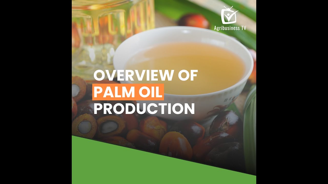 Overview of palm oil production