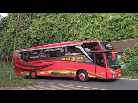 Raja Jalan Raya: Mengupas Dunia Bus Pariwisata 70 Orang