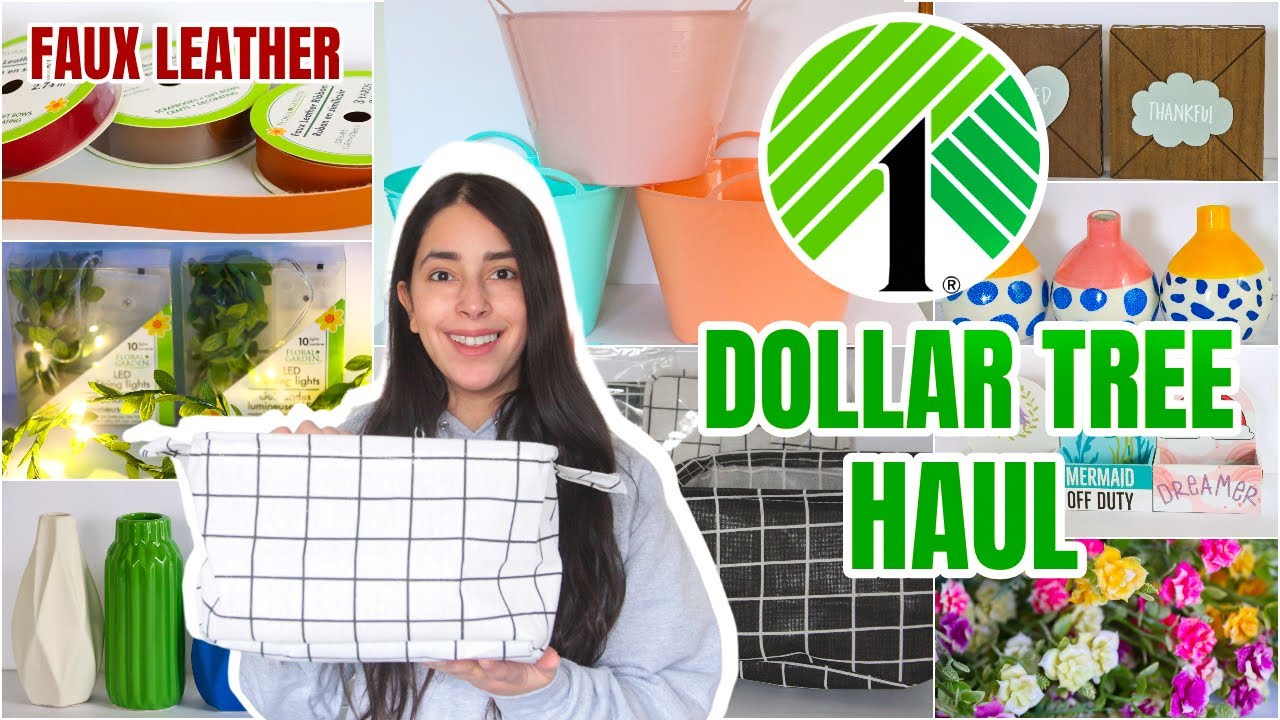 DOLLAR TREE HAUL JANUARY 2021 $1 AMAZING ORGANIZATION BINS