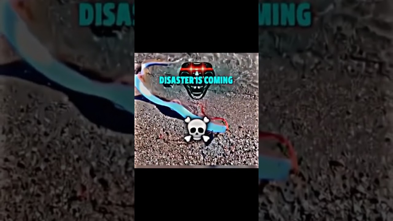 Leviathan in real life😱 