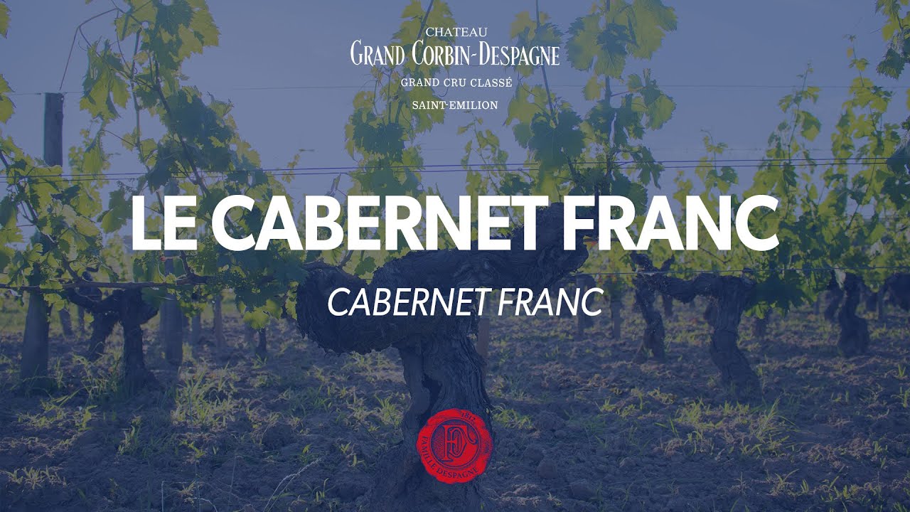 Le Cabernet franc