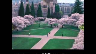 Top 15 Biomedical Engineering Schools In US