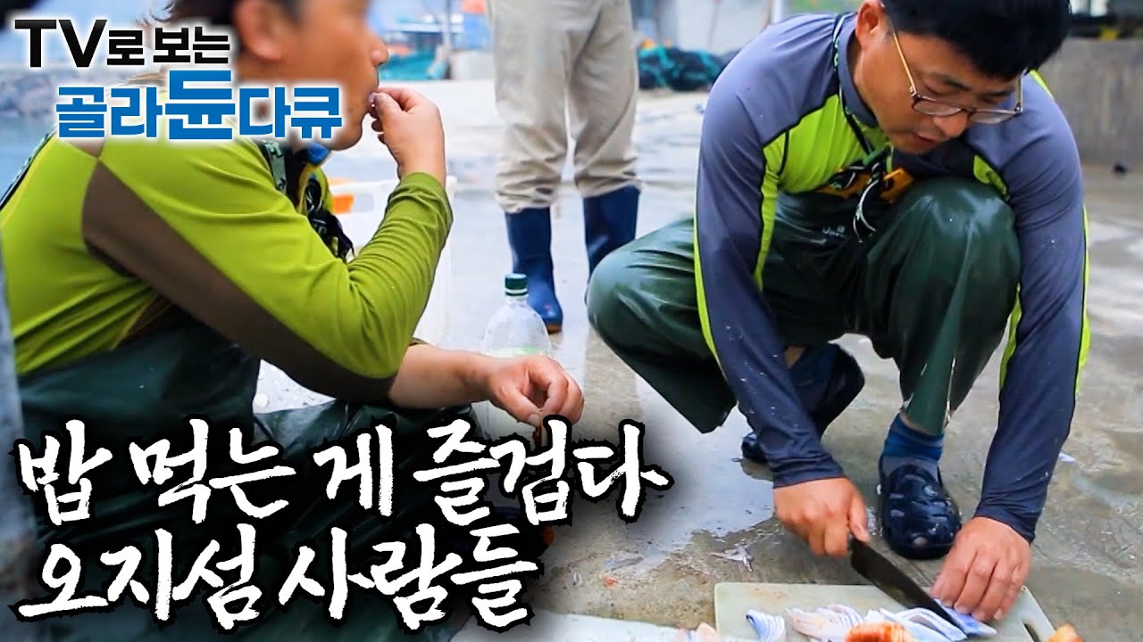 장 보러 마트 대신 바다로 간다. 자급자족 오지섬사람들의 삼시세끼 모음집ㅣ섬에서 먹으면 더 맛있는 밥ㅣ한국기행│