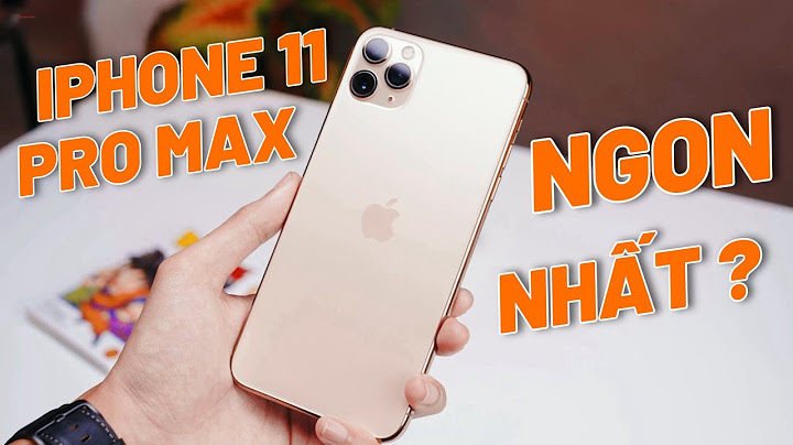 Iphone 11 pro max bao nhiêu tiền