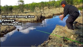 PESTA STRIKE !! Disini Bener2 Ladang Ikan