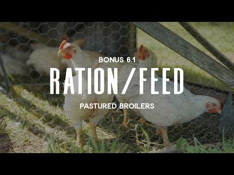 Pastured Broilers Session 6 Bonus: Ration Feed