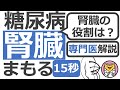 【15秒】 腎臓の役割は? #Shorts