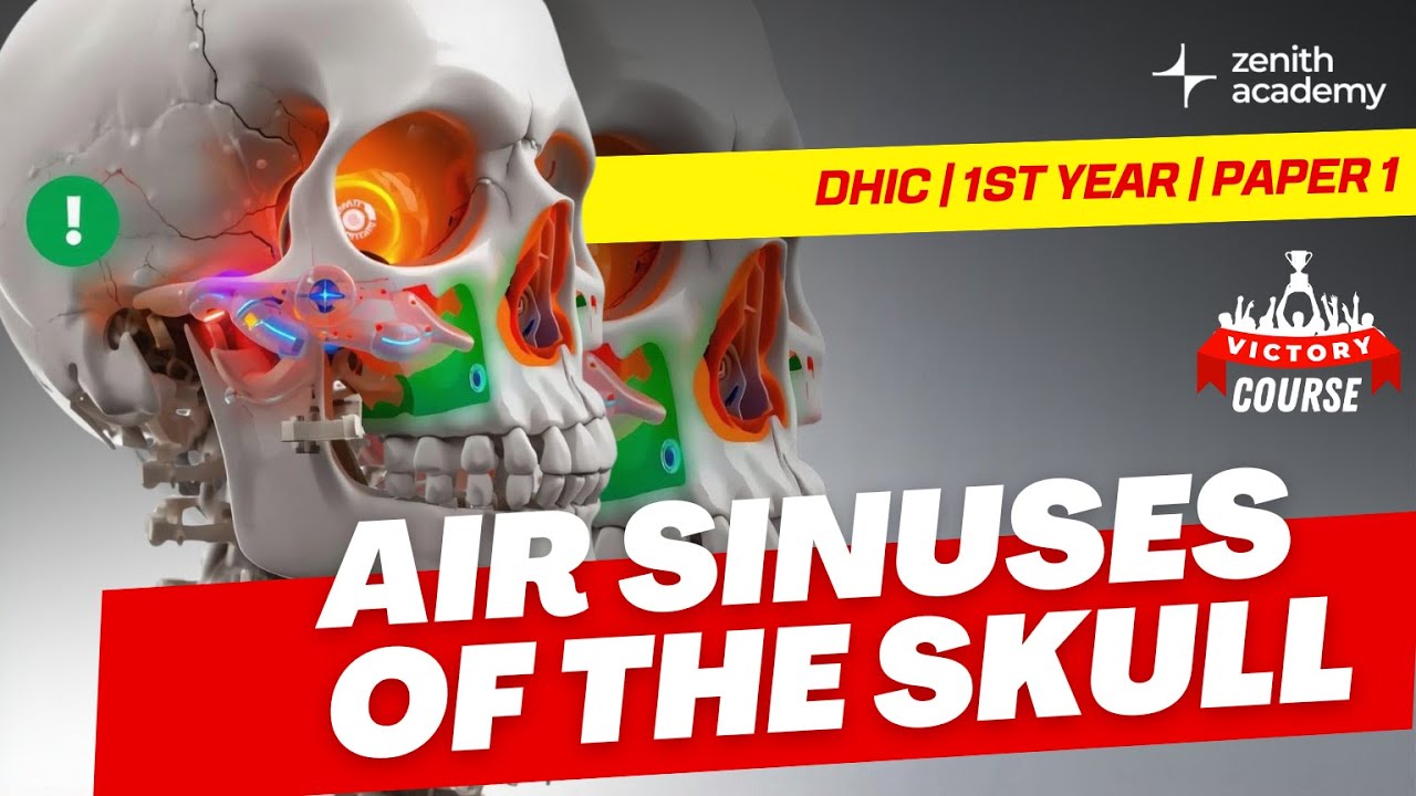 Air sinuses of the skull  |Anatomy & Physiology Important question | DHIC |1st year | Paper 1