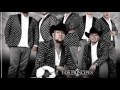 El Zapateado Encabronado #5 Alacranes Musical