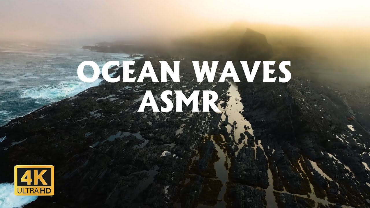 Ocean Waves & Seagulls ASMR | Relaxing Ocean Sounds for Study, Meditation, Sleeping