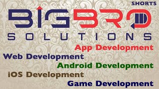 BIG Bro Solutions: Crypto Website, Software, Mobile Application, Web 3, Dapp Developer, and more... screenshot 1