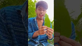 Eats Chili Peppers, Papayas,Lizards In Afunnyway15K