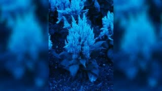 Ir Photography For Beginners Photography Photo Editing