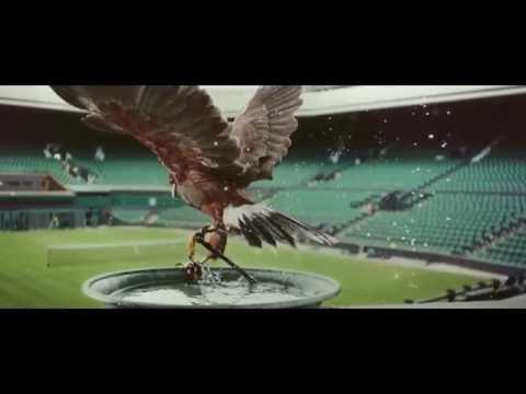 Rufus the Hawk