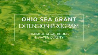 Harmful Algal Blooms &amp; Water Quality | Ohio Sea Grant Extension