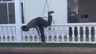 Malume Malume Tick Tock Viral Dance Challenge 2026🔥💃 #dance#viralvideo#viralshorts#fyp #dance 