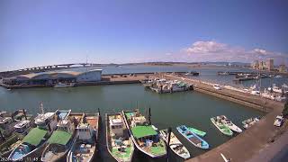 舞阪漁港・浜名大橋ライブカメラ(魚あら) のライブ映像