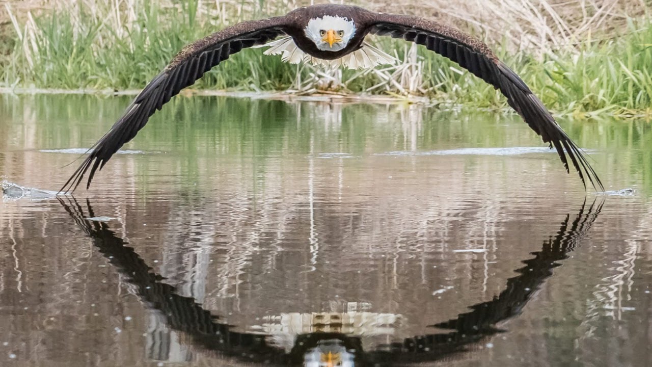 Miraggiodilux e Steve Biro ON LINE - Fotografia ed emozioni