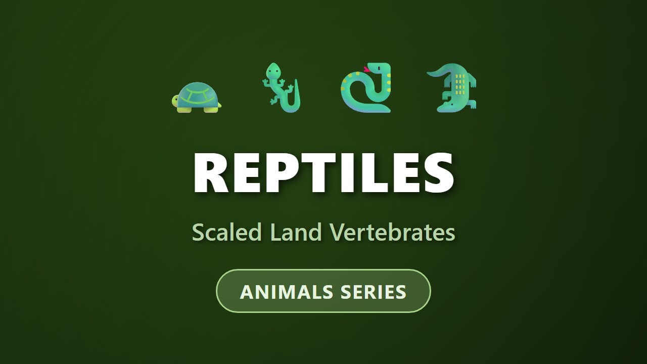 Рептилии: Чешуйчатые наземные позвоночные | Узнайте о холоднокровных животных | Серия «Животные»