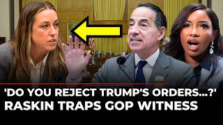 LIVE Jamie Raskin Uses Pro-Trump Witness s Own Words Against Her During House Hearing