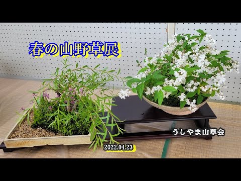 カッパ音頭　　篠山鈴虫まつり唄 シリーズ和・華・調 第6回よぐ来たねし 津軽民謡の世界 ～唄と三味線と