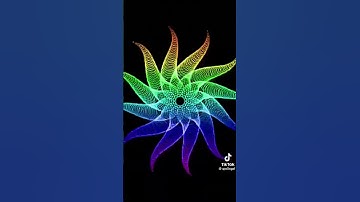 Flash warning ⚠️ 2