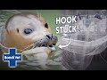 Vet Rescues A Seal With A Hook In It's Mouth Found In The River Thames! | Full Episode | Bondi Vet