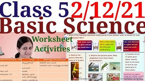 Class 5 Basic Science Worksheet 2/12/21|STD 5 Basic Science Worksheet 2/12/21|Activities|@educutz131