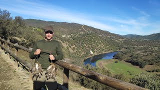 Los zorzales del Jandula