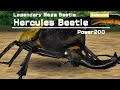 Mushiking All Beetles Intro｜甲虫王者 ムシキング - 全カブト と クワガタ登場シーン集 2006 [英語版 アーケード]