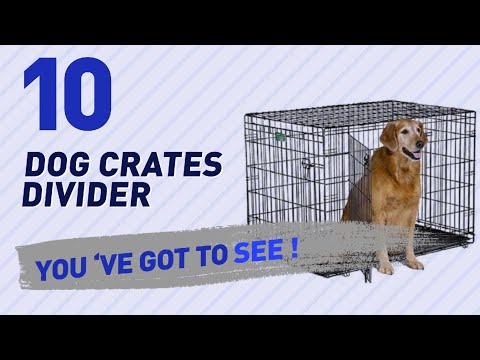 dog-crates-divider-//-top-10-most-popular
