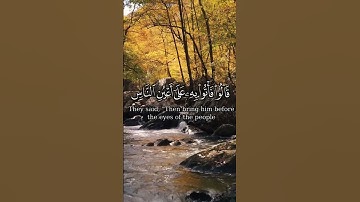 قالوا من فعل هذا بألهتنآ إنه لمن الظالمين 🌿  القارئ ياسر الدوسري 🌿 #قرآن #اكسبلور #قران_كريم