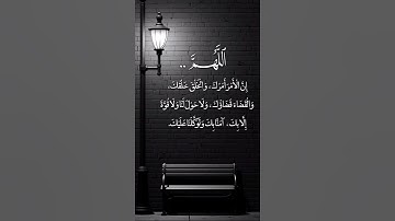 سورة الفتح #القران #القران_الكريم #المصحف #تيك_توك #اكسبلور #القران_الكريم #قرآن_كريم