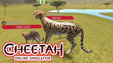 The Cheetah: Online RPG Animal Simulator - Gameplay Walkthrough Part 3 (iOS, Android)