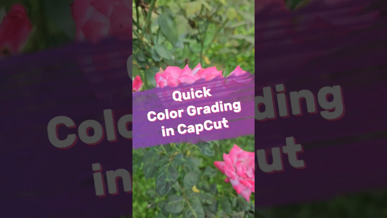 How to color grade quickly in CapCut Video Editor App YouTube