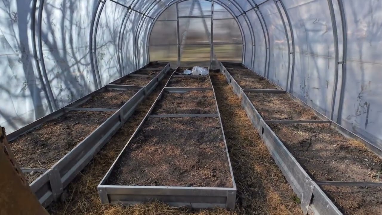 2 марта 2026г. Переделала теплицу.