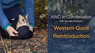 AWC in Conversation with Georgie Anderson: Reintroducing the Western Quoll to Mt Gibson