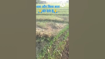 Use the edit icon to pin, add or delete clips  #hesteg   # short #video  # vairl