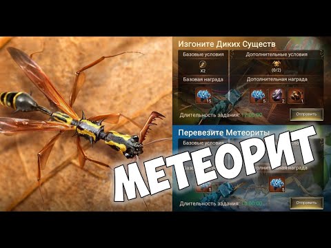 Видео: Метеорит эволюции в The Ants